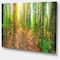 Designart - Dense Forest Panorama - Landscape Canvas Art Print